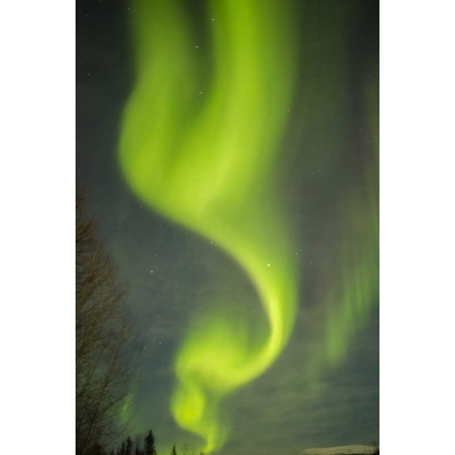 USA, Alaska Aurora borealis pattern